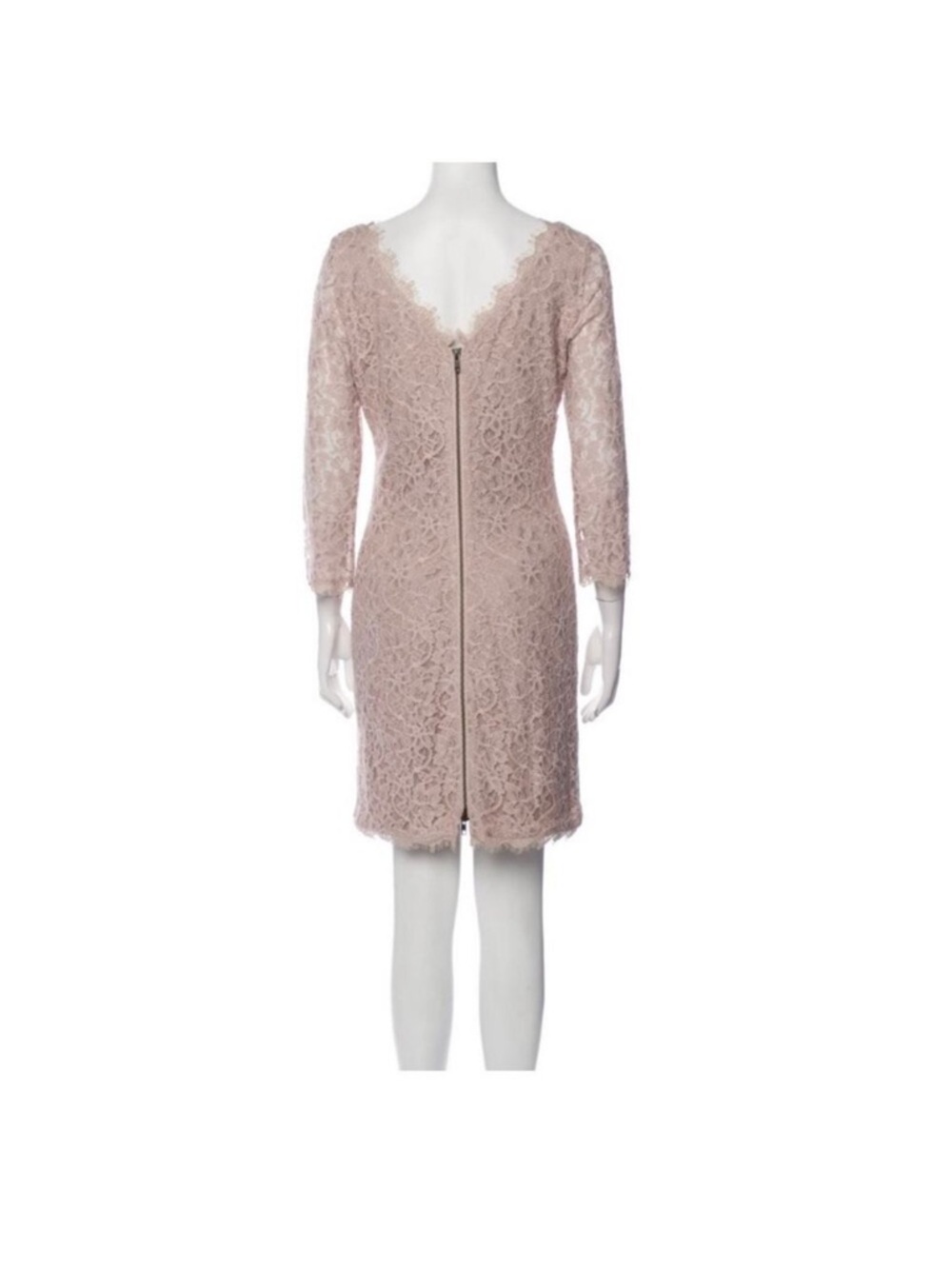 Diane von Furstenburg Zarita Lace Sheath Dress in Blush Pink/Nude 6 - Picture 5 of 5
